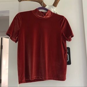 NWOT Madewell Velvet-Like Top
